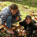 Featured image for 11/3/2009