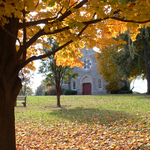 Featured image for 11/17/2005