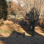 Featured image for 1/18/2006