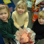Featured image for 1/30/2006