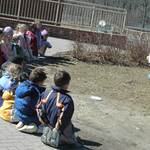 Featured image for 3/7/2006