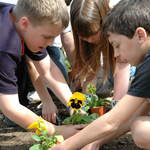 Featured image for 4/14/2006