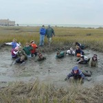 Playing in the Mud Pit