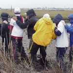 A Trust Walk